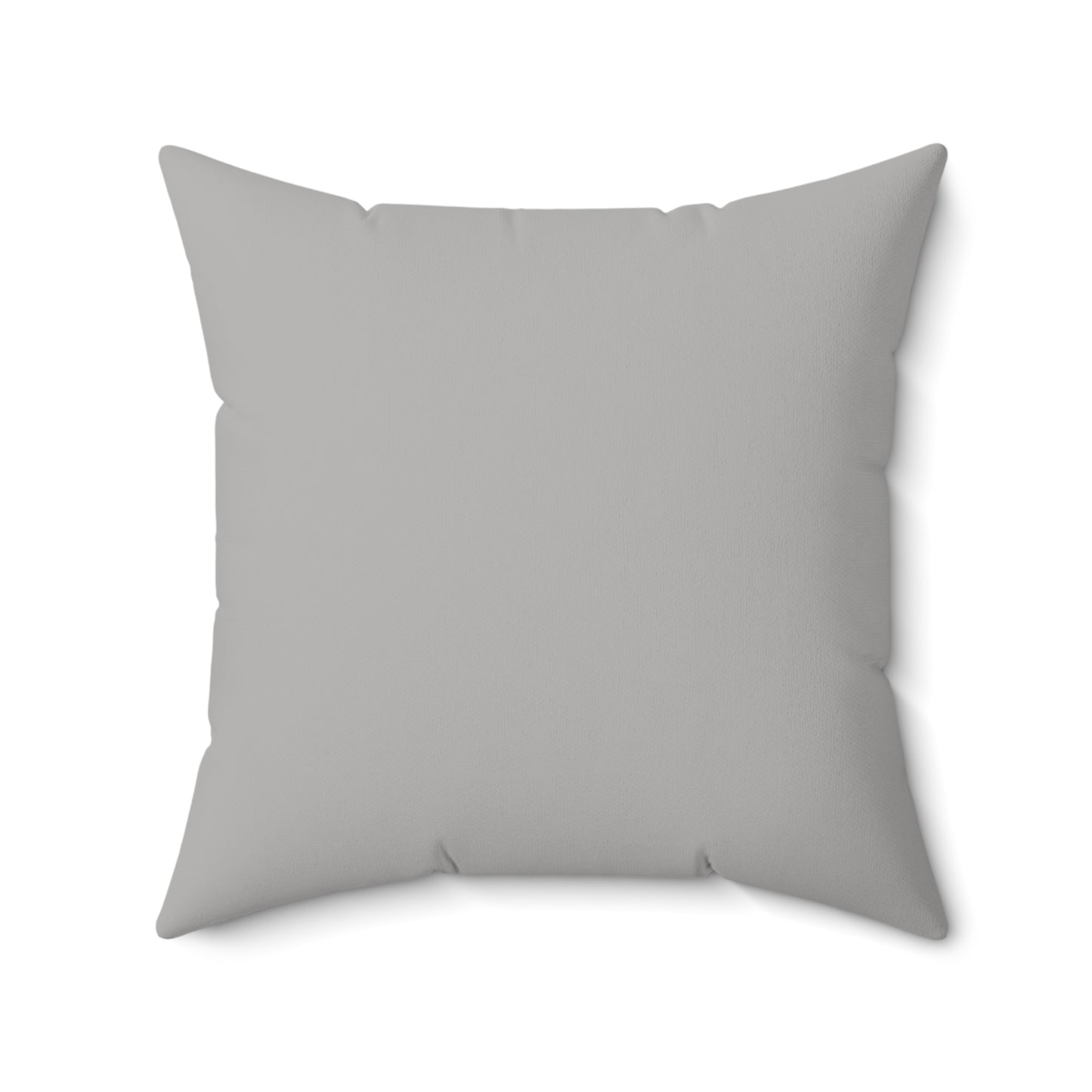 Railway Lofts Faux Suede Square Pillow